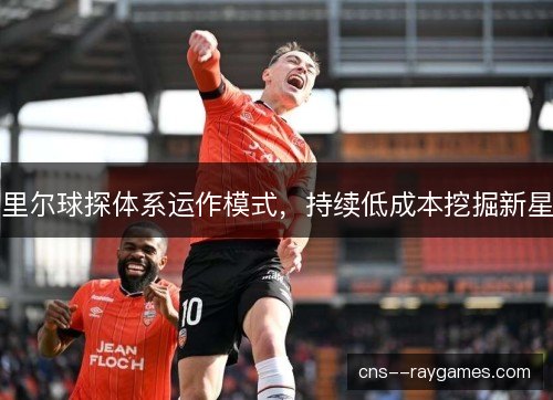 里尔球探体系运作模式,持续低成本挖掘新星 里尔球探体系运作模式,持续低成本挖掘新星